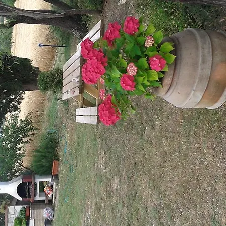 Le Stiacce
