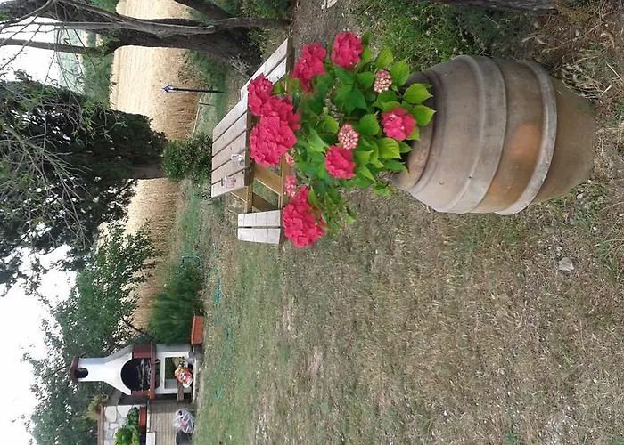 Le Stiacce